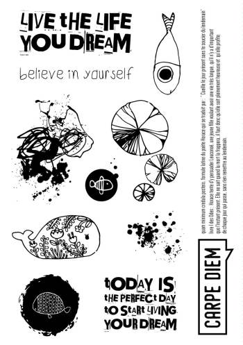 ClearA6_CarpeDiem_102,5x146_design